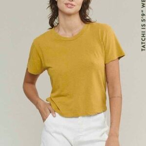Jungmaven Cropped Lorel Tee